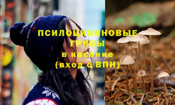 ECSTASY Абаза