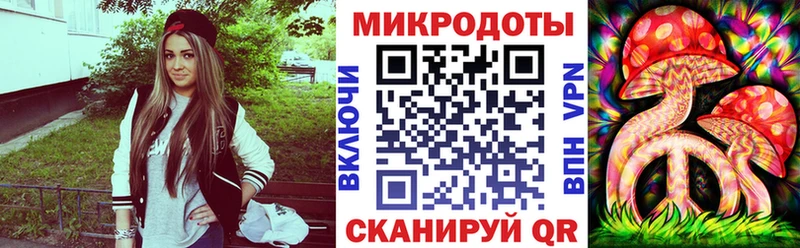 Галлюциногенные грибы Psilocybine cubensis  Богданович 